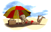 playa.gif